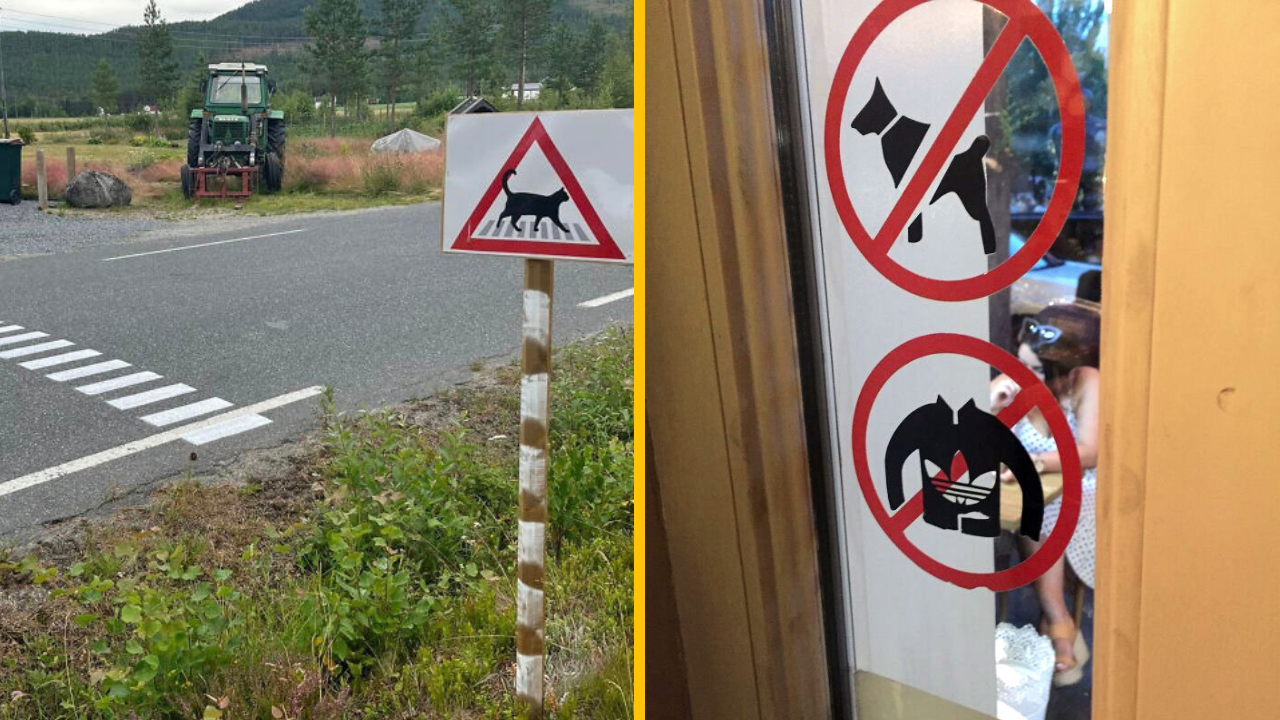 10 vecí, ktoré turistov zaujali pri návšteve iných krajín