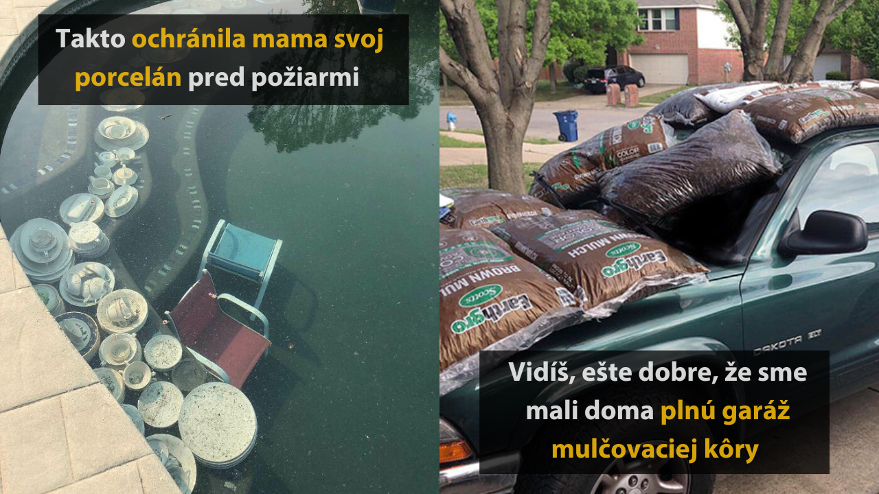 10 ľudí, ktorí sa vedeli vynájsť pri ochrane svojho majetku #1