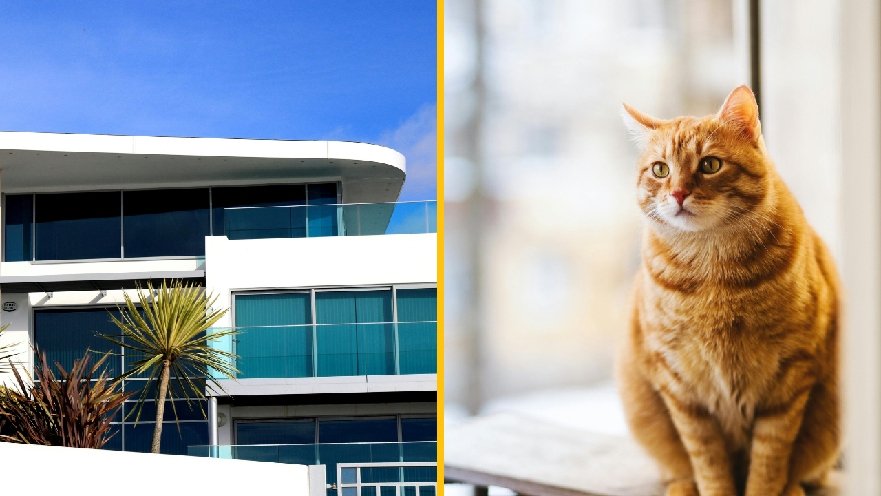 „Precestovala som deväť krajín s úplne bezplatným luxusným ubytovaním“