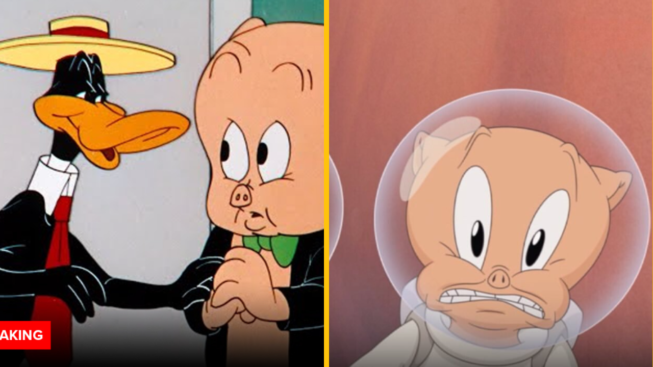 Do kín prichádza nový animovaný film Looney Tunes + TRAILER