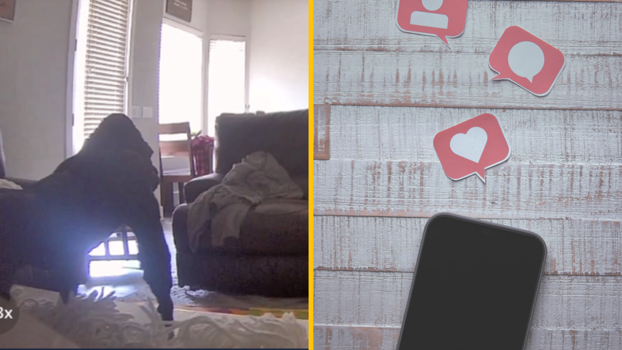 Mama sa utekala pozrieť na dieťa po tom, čo na baby monitore zbadala niečo neočakávané