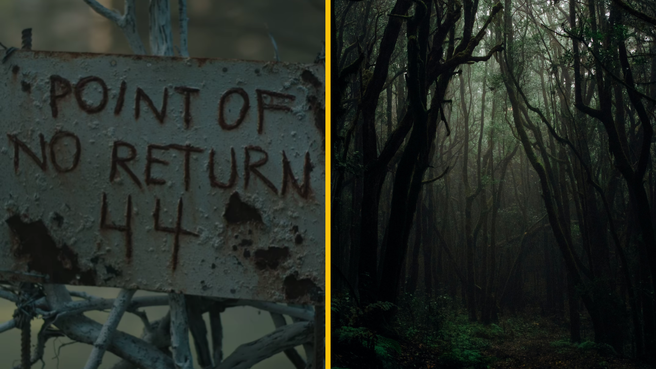 Na Maxe budeme môcť čoskoro streamovať „The Watchers“ s Dakotou Fanning v hlavnej úlohe