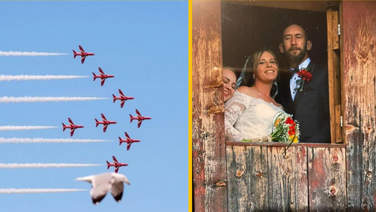 20+ ľudí, ktorých nezabudnuteľné fotografie boli „zničené“