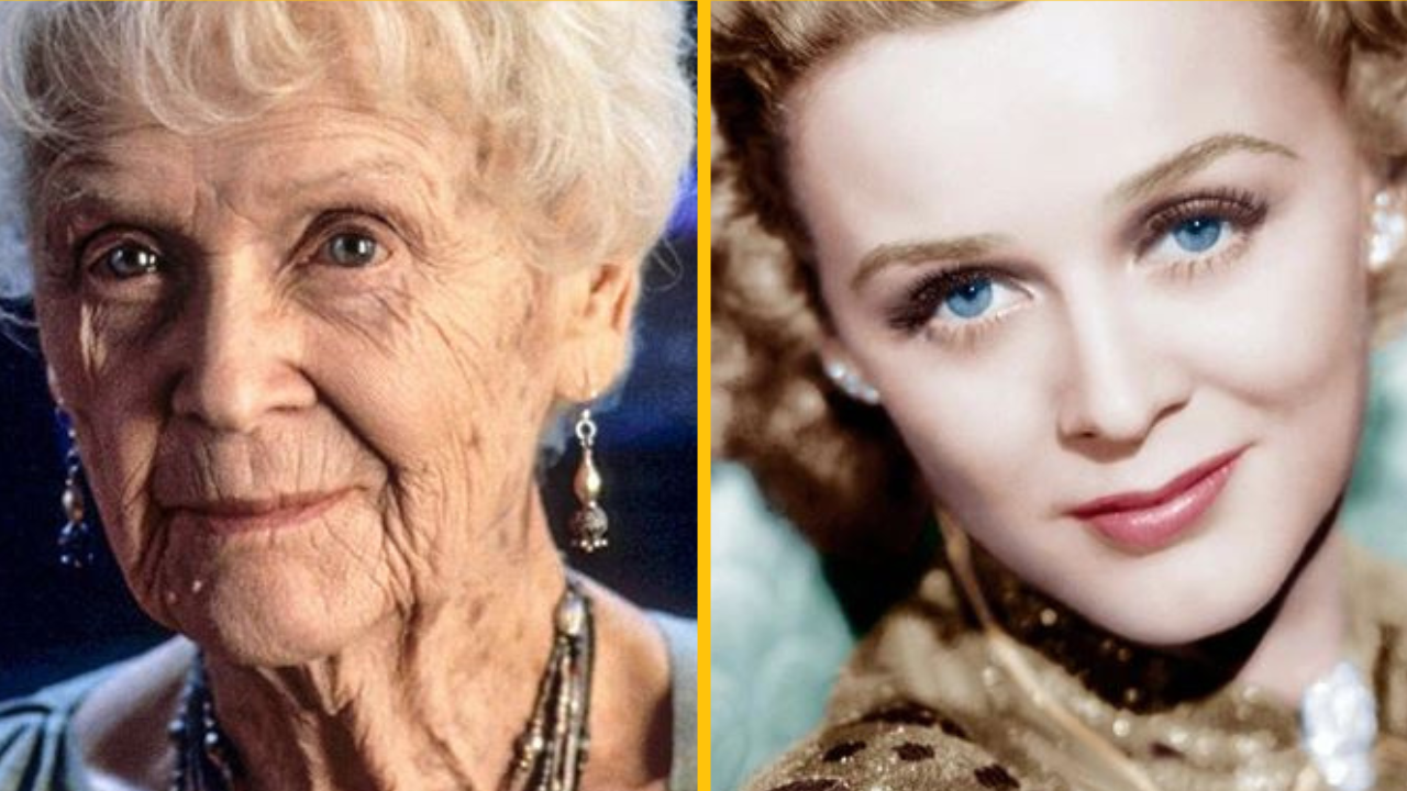 Ako vyzeralo 10+ celebrít, ktoré poznáme, v ich mladosti?