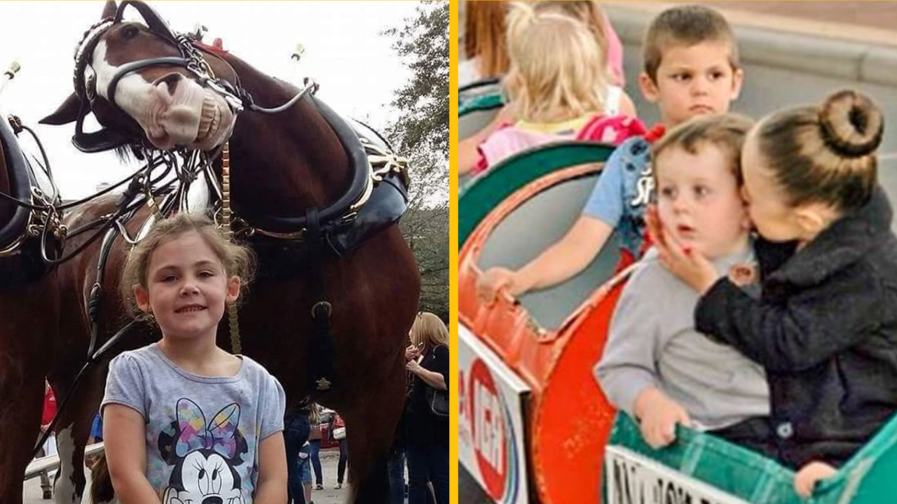 26 úplne obyčajných fotografií, ak nevenujete pozornosť pozadiu