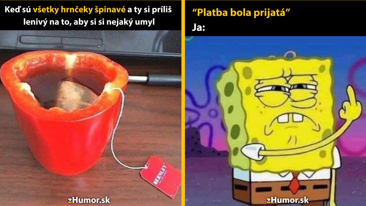 Zopár memečiek, ktoré vznikli, aby ti spríjemnili deň #1464: To bude musieť postačiť.