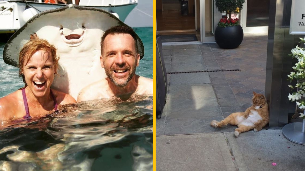 17 ľudí, ktorí si budú navždy pamätať svoju dovolenku