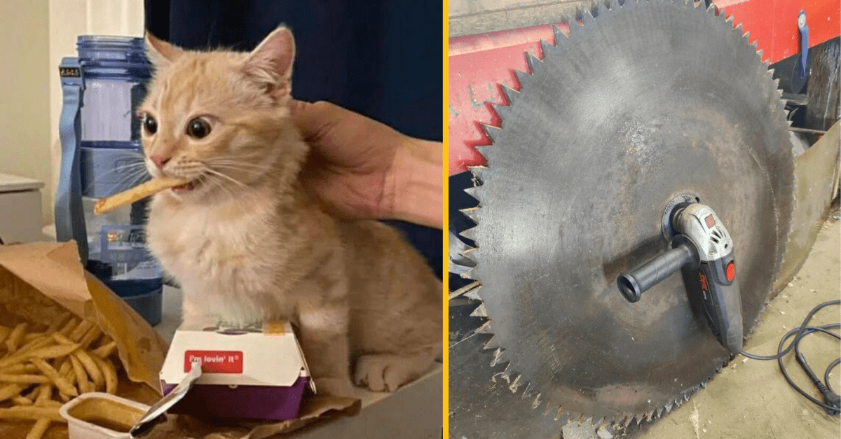 20+ fotografií bez kontextu, ktoré by potrebovali dovysvetliť ale určite pobavia