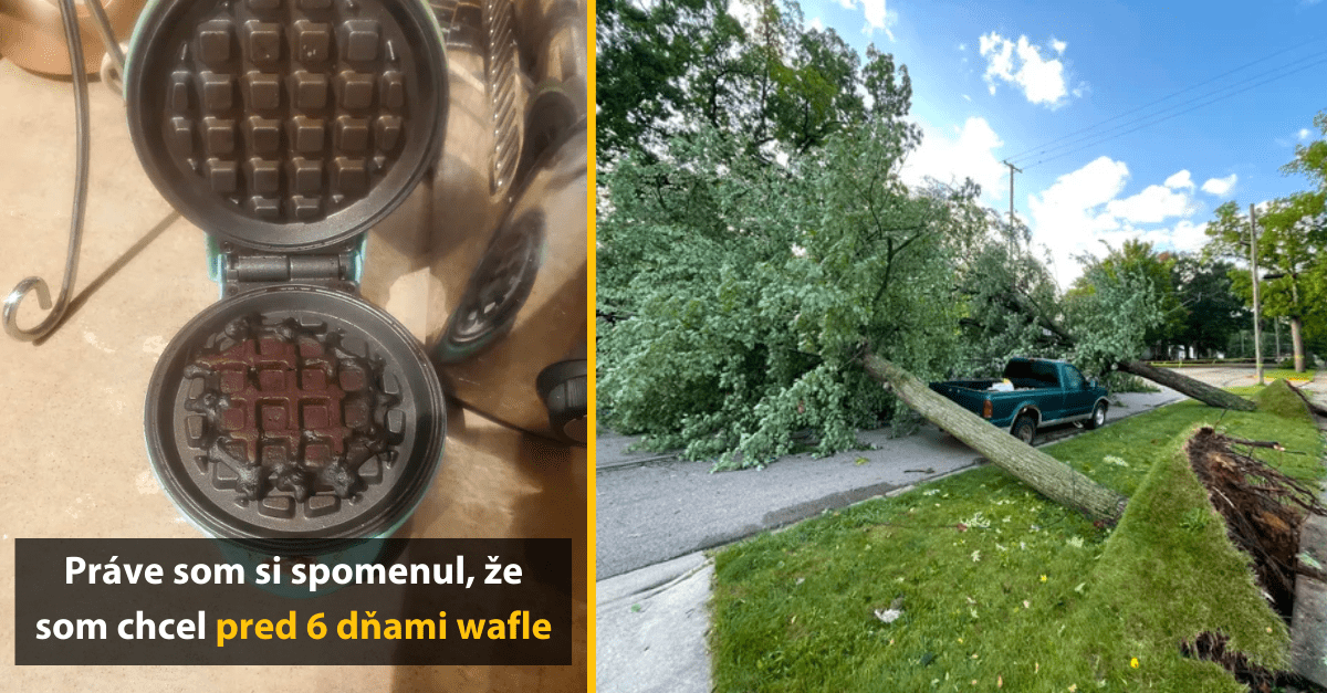 15 fotografií ľudí, ktorých nepodarený deň by ste si prežiť nechceli