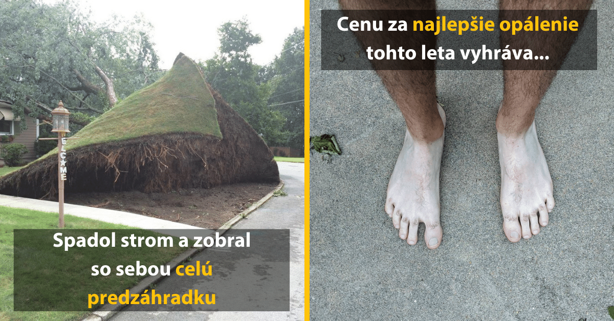 12 fotografií, ktoré dokonale dokumentujú tie menej šťatné dni ľudí