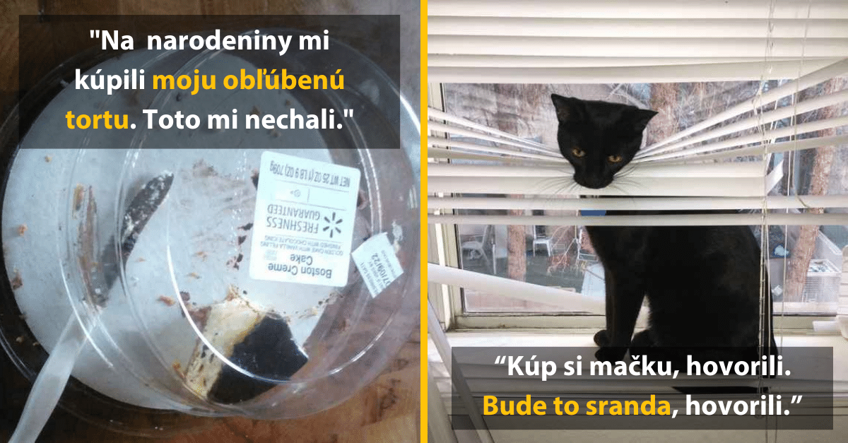 14 vtipných fotografií -Takto nejak by vyzeral piatok trinásteho, keby bol fotkou