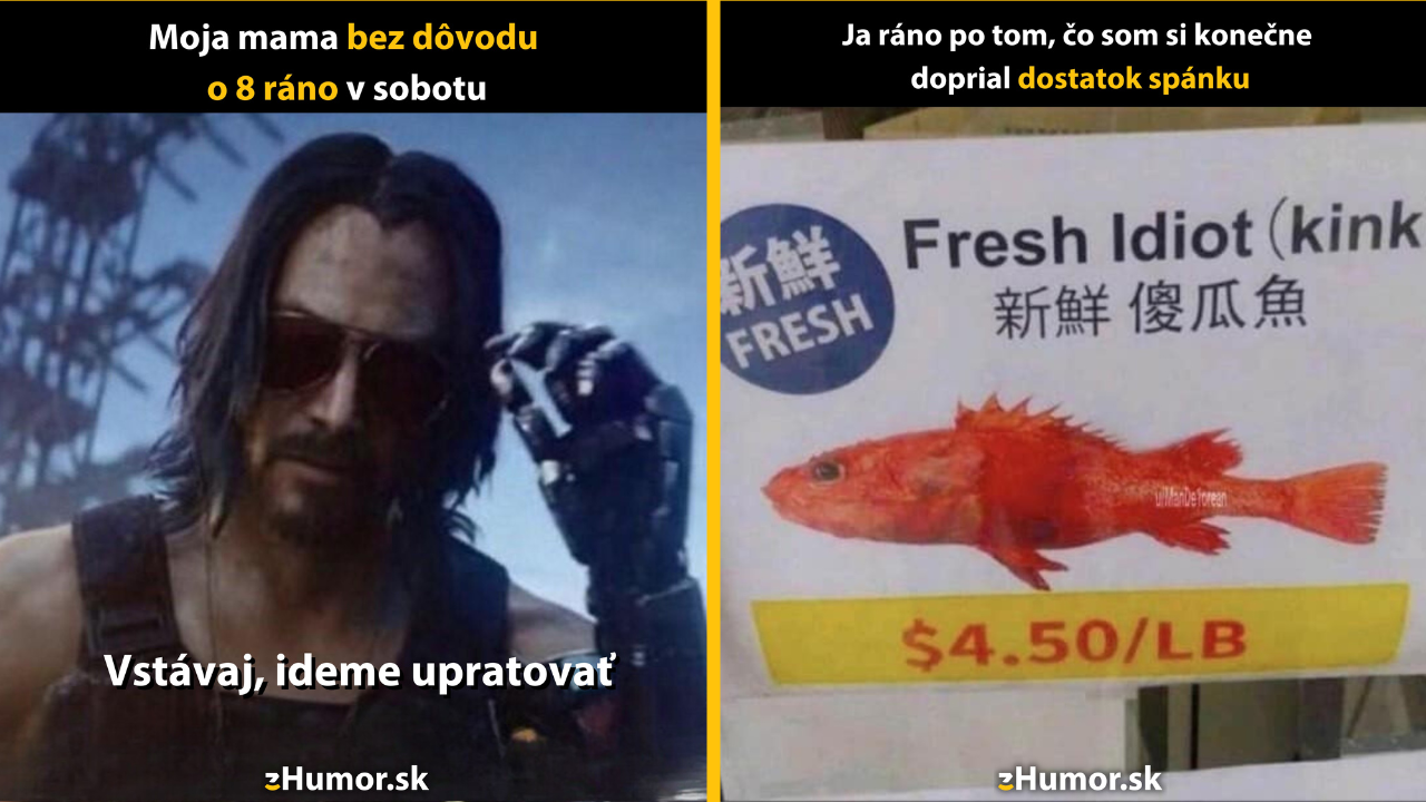 Zopár memečiek, ktoré vznikli, aby ti spríjemnili deň #1460: Čo som komu urobil?