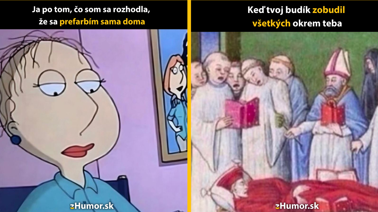 Zopár memečiek, ktoré vznikli, aby ti spríjemnili deň #1463: Ale veď to nie je až také zlé.