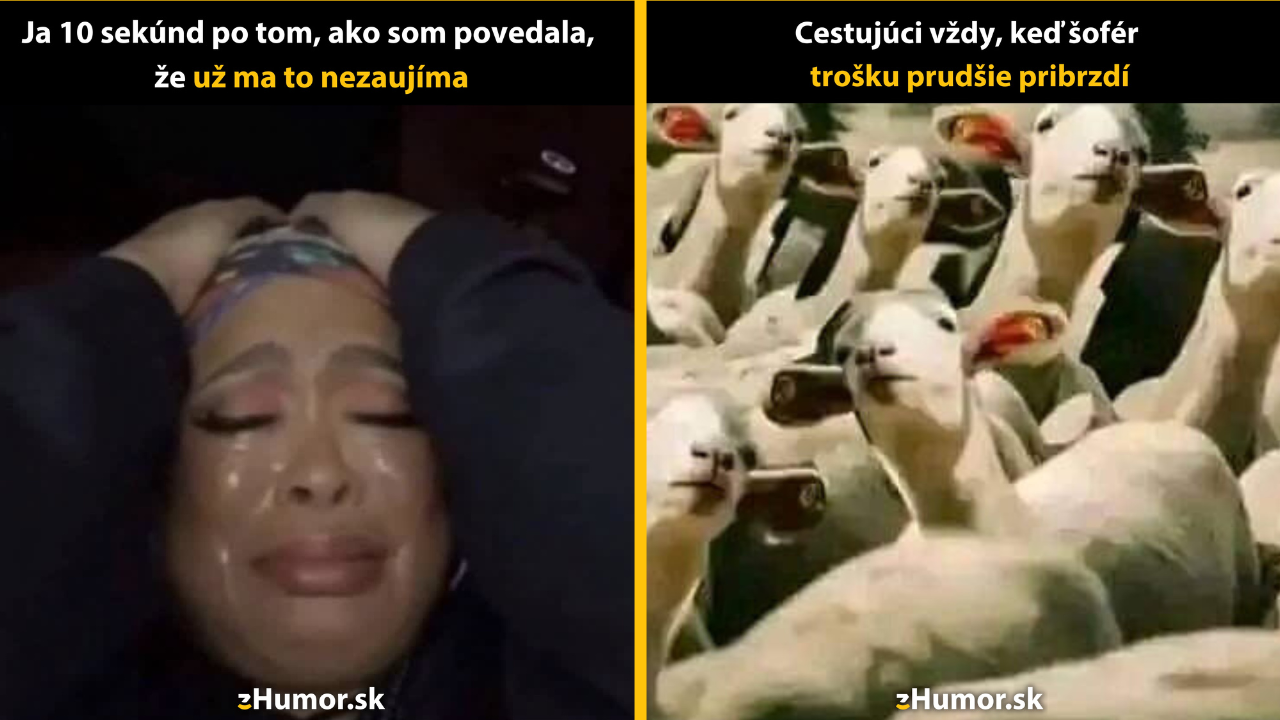 Zopár memečiek, ktoré vznikli, aby ti spríjemnili deň #1466: Už je mi to úplne jedno.