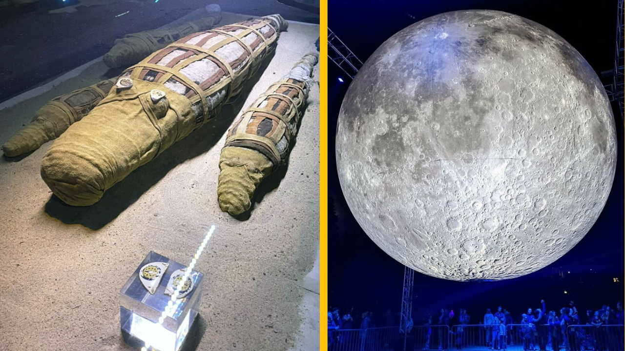 13 zaujímavých vecí, ktorými múzeá zaujali návštevníkov (1. časť)