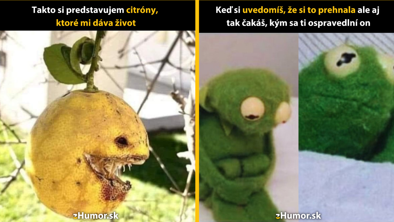 Zopár memečiek, ktoré vznikli, aby ti spríjemnili deň #1467: „Keď ti život dá citróny,….“