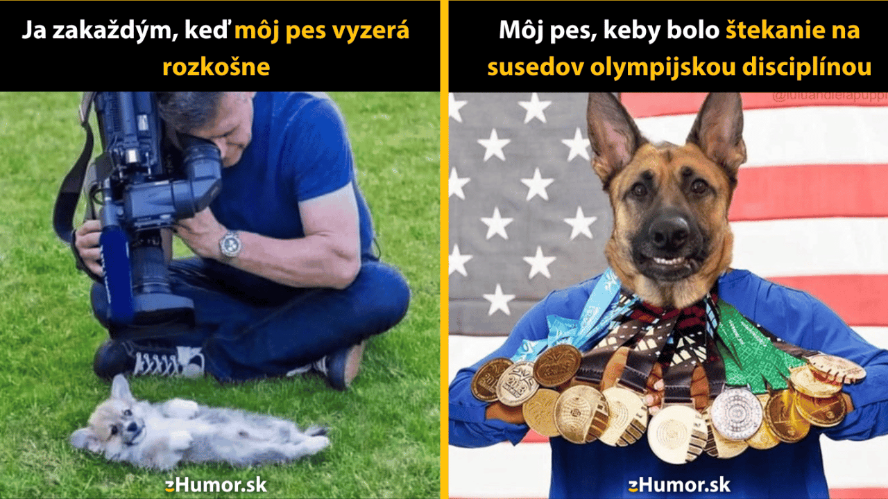 Máš zlý deň? Pozri si týchto 10 psích memečiek!