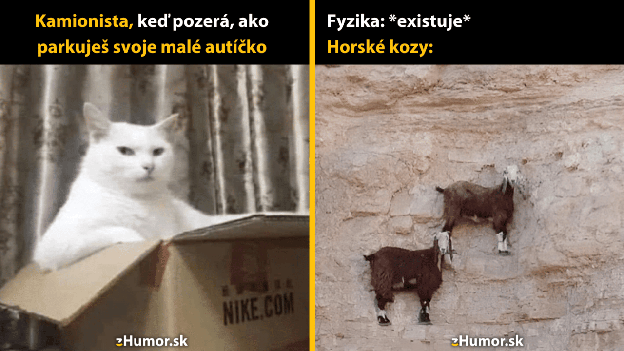 10 memečiek, pri ktorých prídeš na iné myšlienky