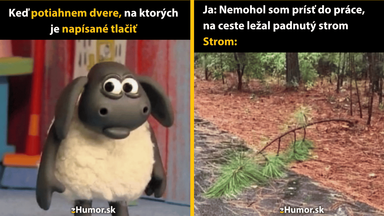 Výber 10 memečiek, ktoré ti naštartujú víkend