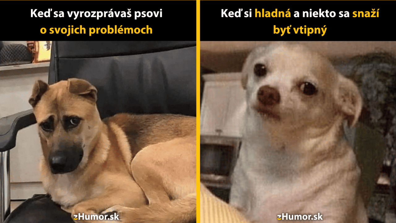 10 víkendových memečiek, ktoré si nesmieš nechať ujsť