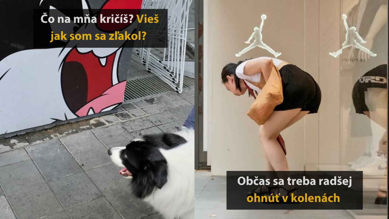 10 perfektne načasovaných fotografií, pri ktorých sa zasmejete #1