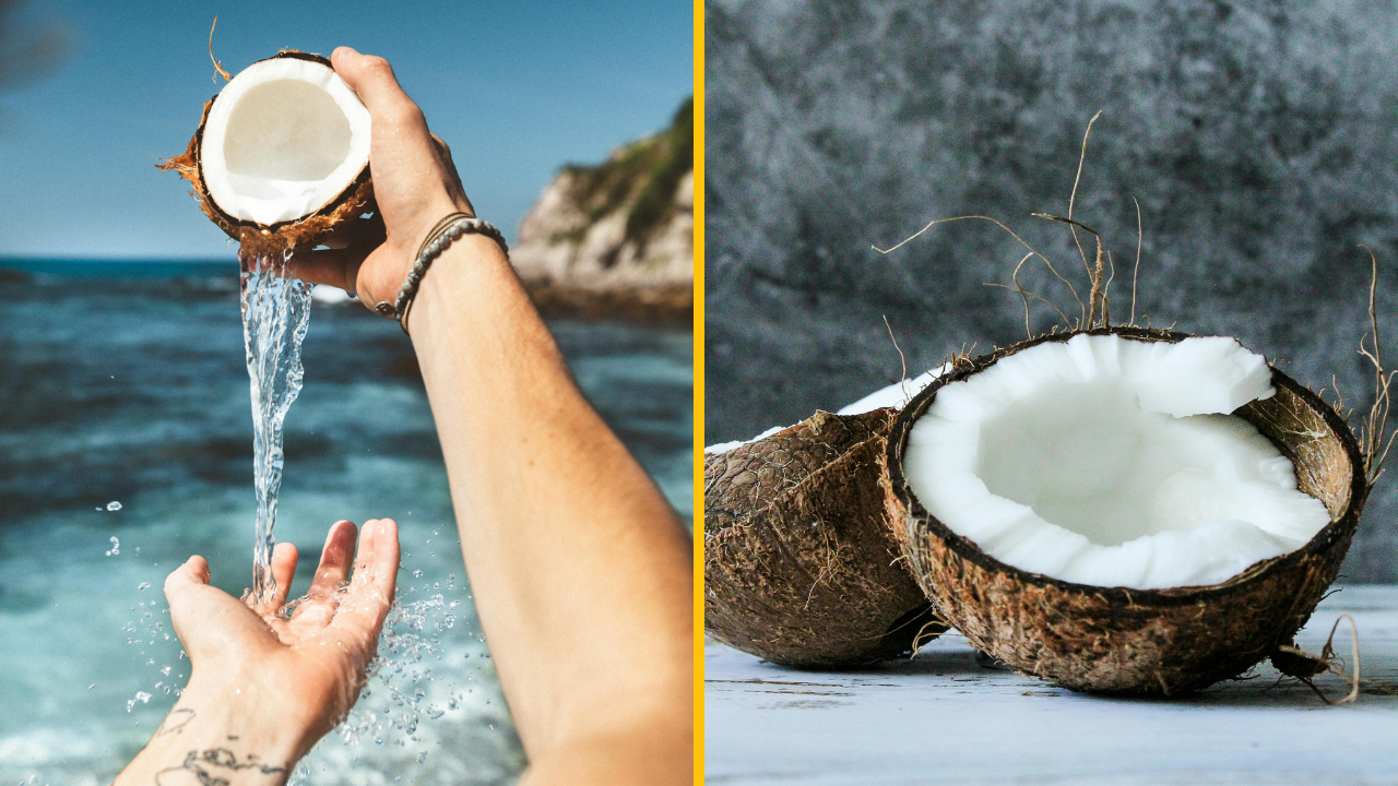 Ľudia práve zisťujú, čo sú kokosové orechy vlastne zač – a nie sú to orechy