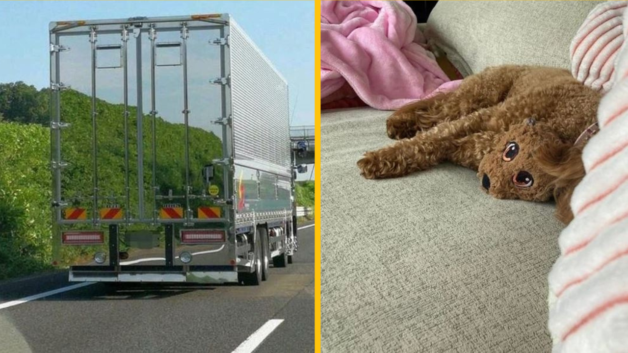 Fotografie, ktoré dokážu úplne zmiasť ľudskú myseľ