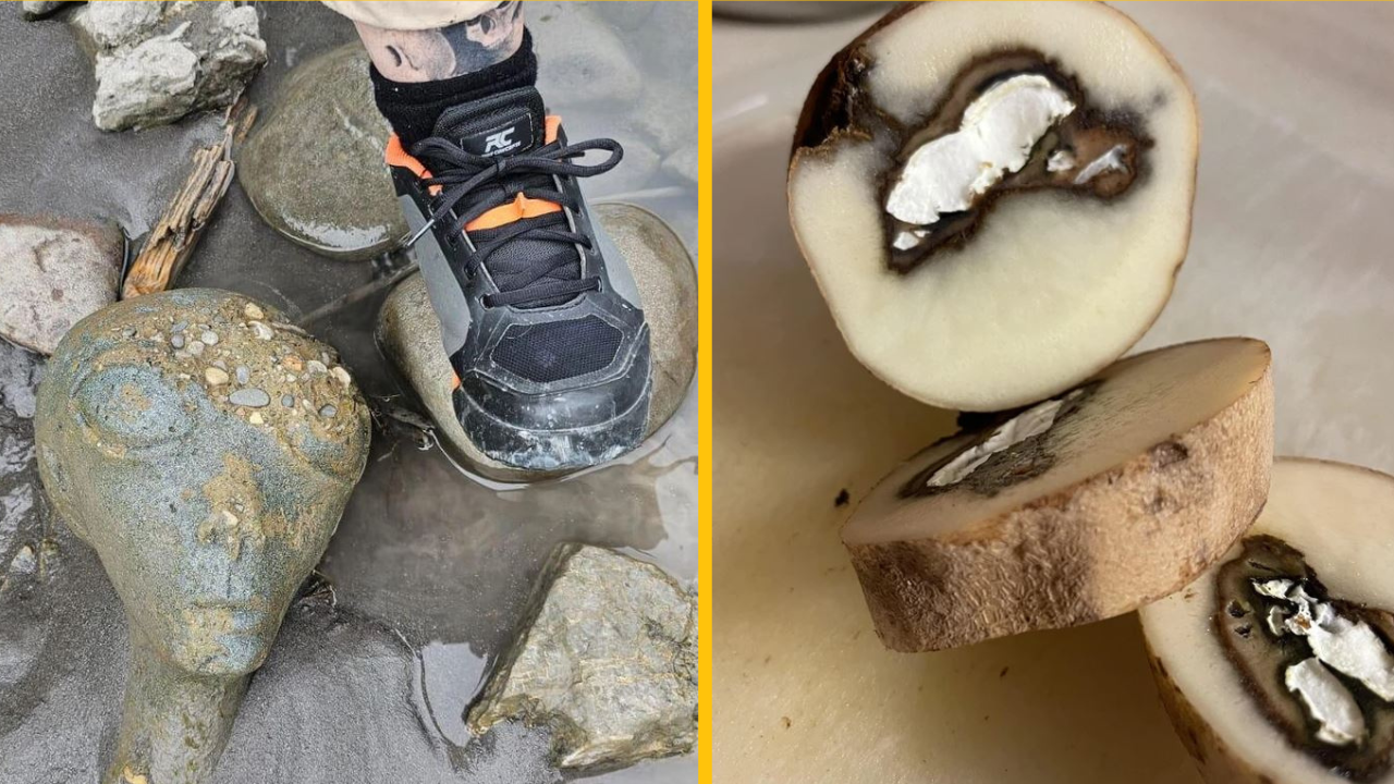 12 nezvyčajných objavov, ktoré vás prinútia prehodnotiť realitu