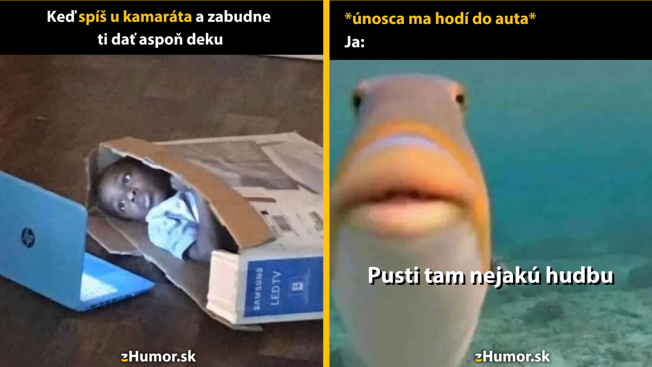 Zopár memečiek, ktoré vznikli, aby ti spríjemnili deň #1474: Ja si nejako poradím.