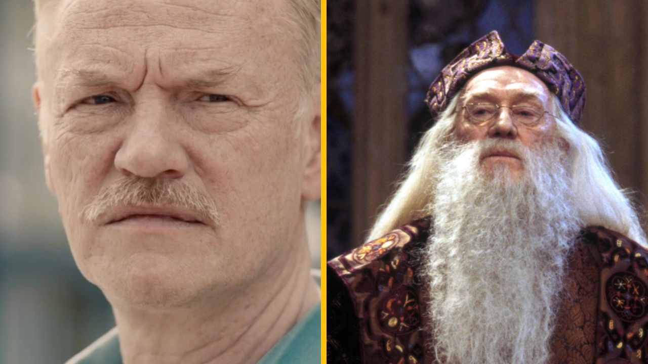 Dumbledorov syn kritizuje nový seriál Harry Potter: Prečo to robia?