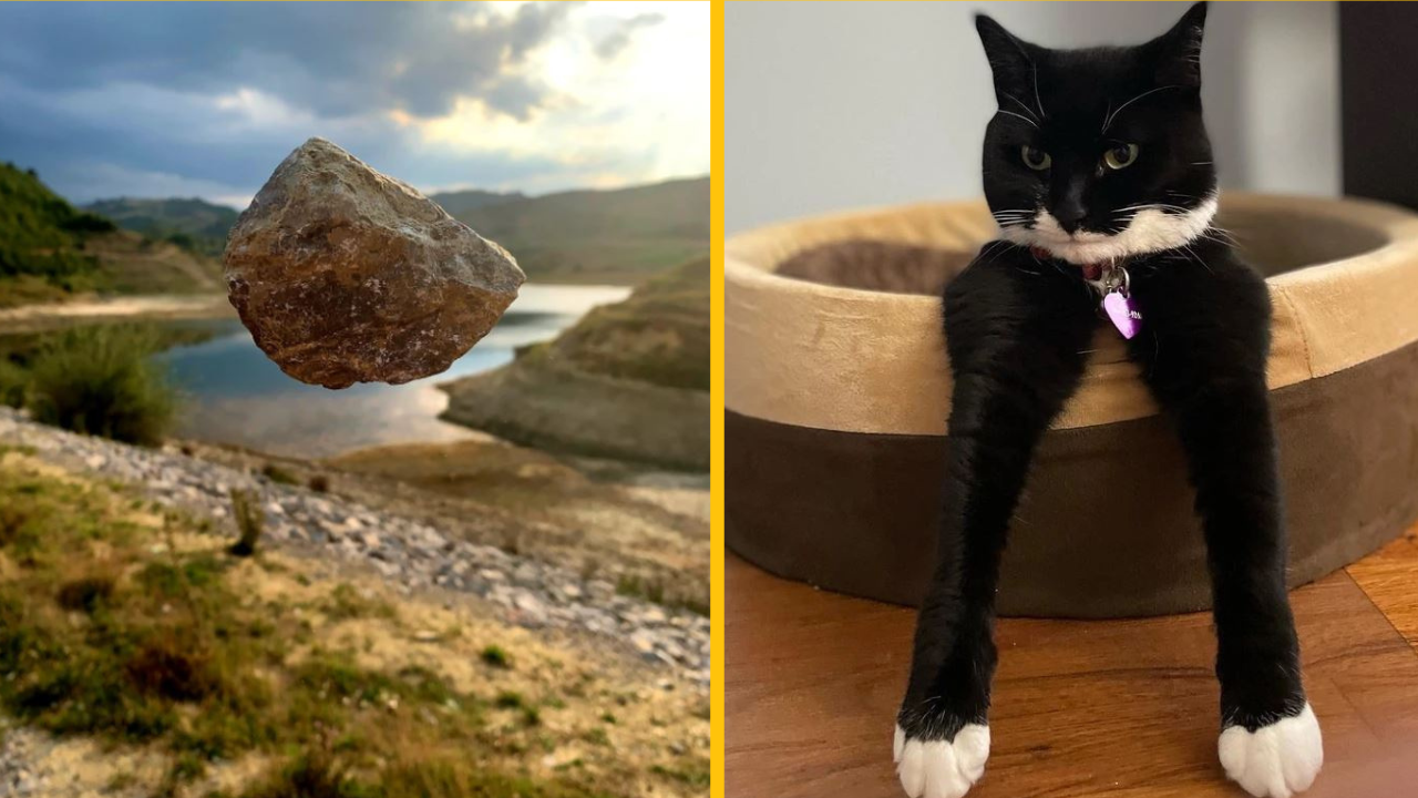 Títo ľudia urobili dokonalé zábery bez toho, aby si to uvedomovali