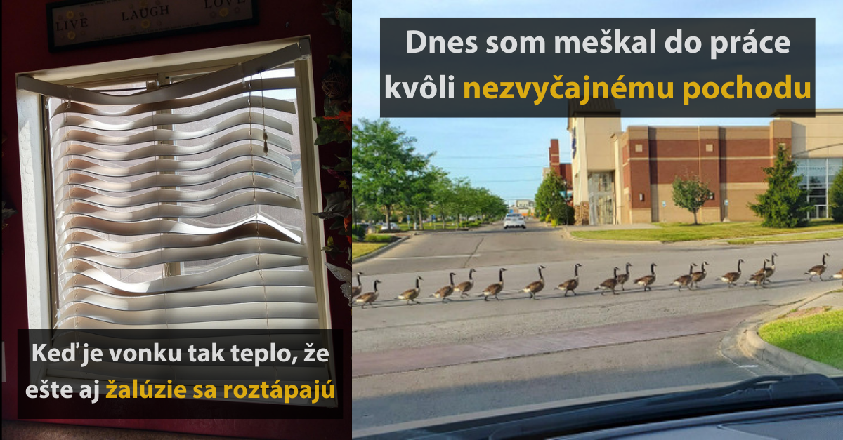 15 vtipných fotografií, kedy ľudia ráno asi nevstali tou pravou nohou