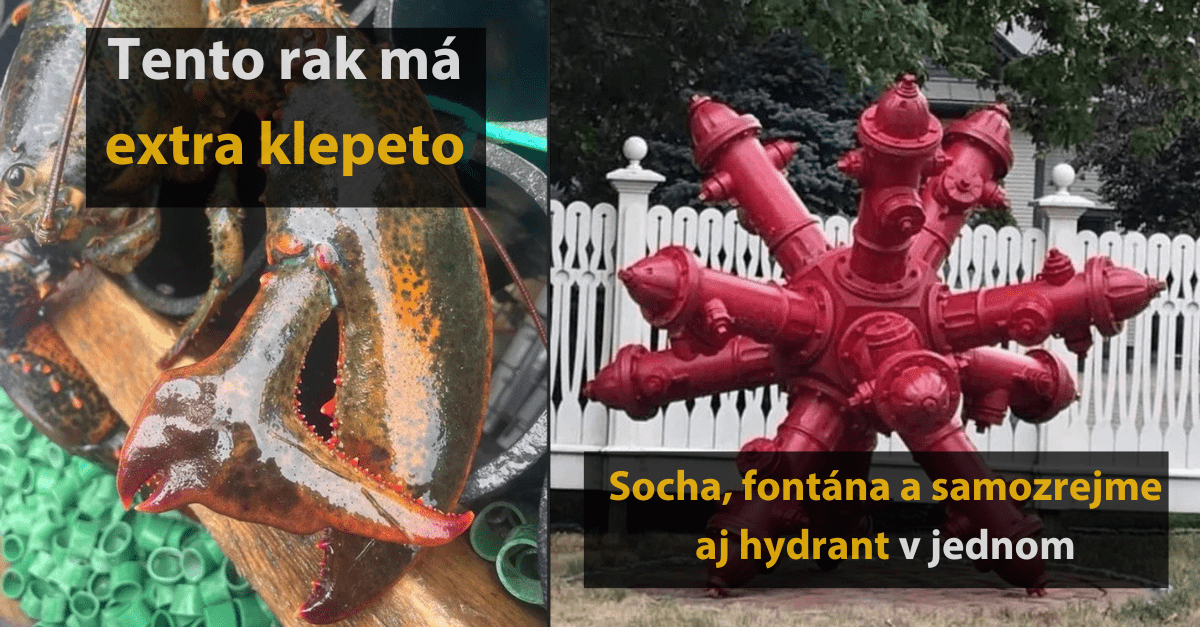 18 fotografií, ktoré vám ukážu, že svet ma pre nás každý deň niečo nové a zaujímavé