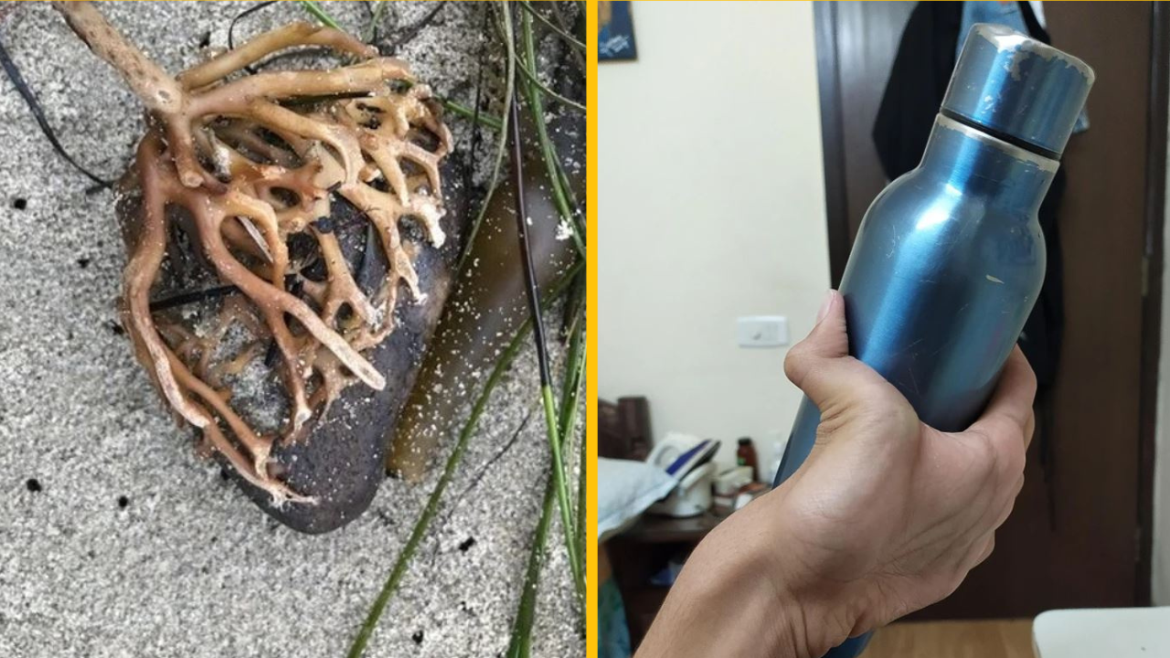 15+ fotografií, ktoré ukazujú, aká kreatívna je príroda