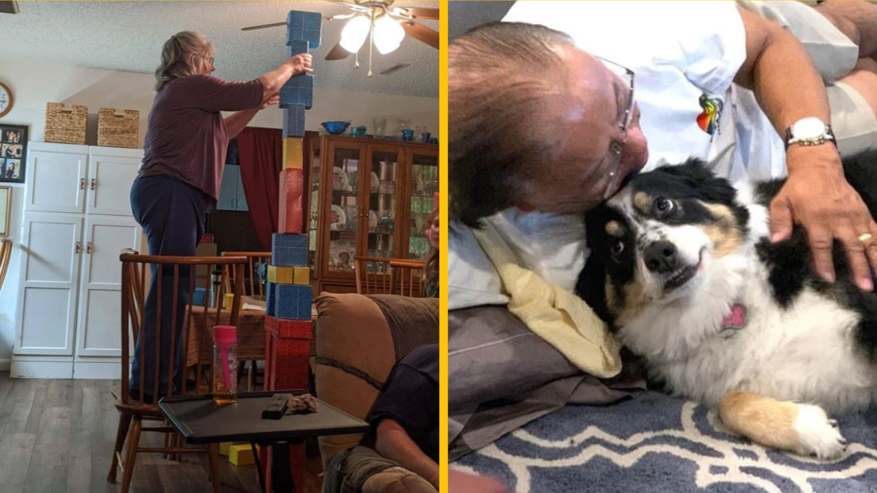 15 ľudí, ktorí majú šťastie, že našli dokonalých svokrovcov