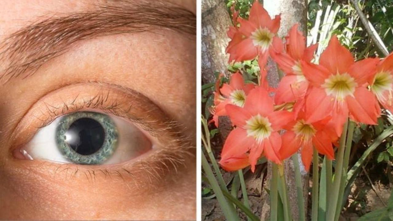 10 extrémnych trendov krásy z minulosti