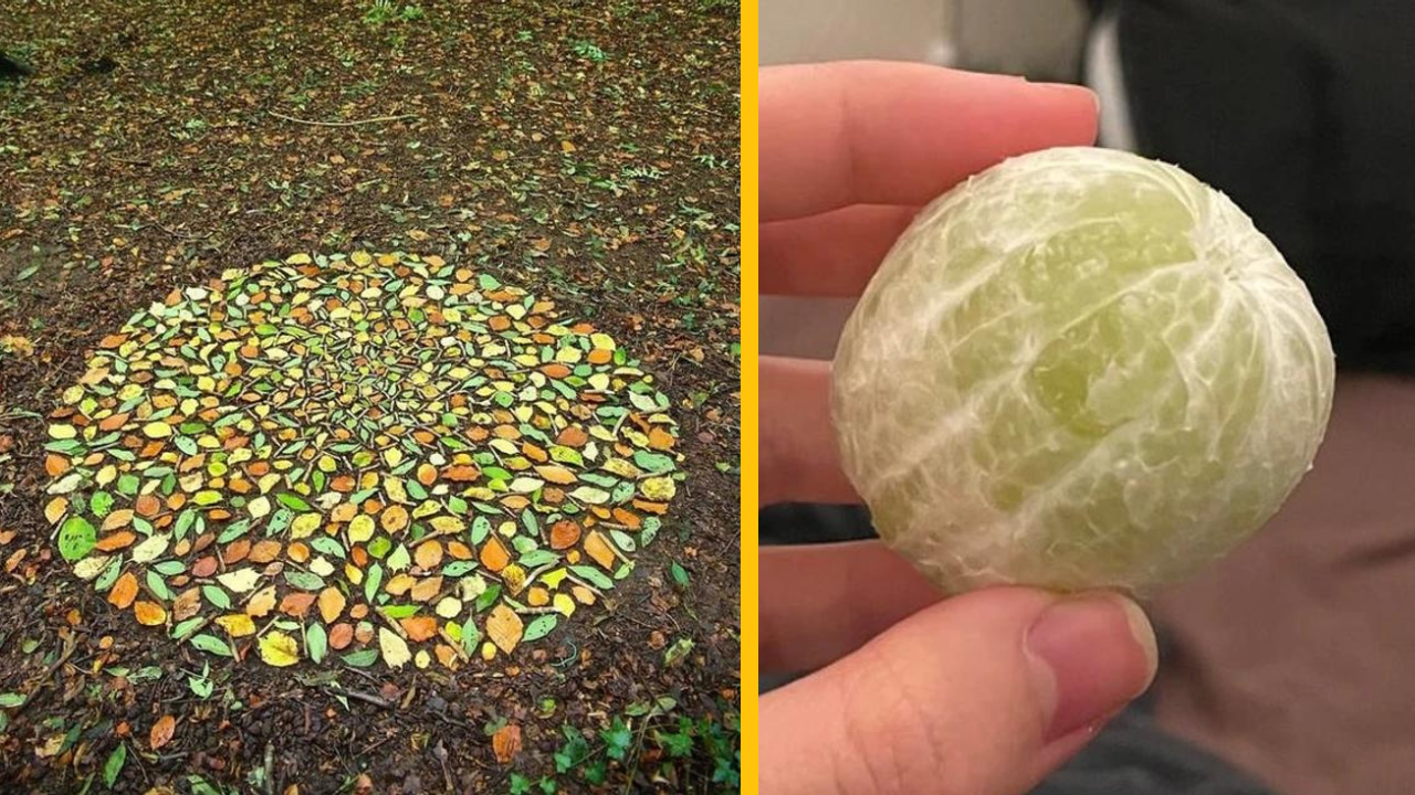 14 upokojujúcich fotiek, ktoré vám prinesú vlnu pokoja