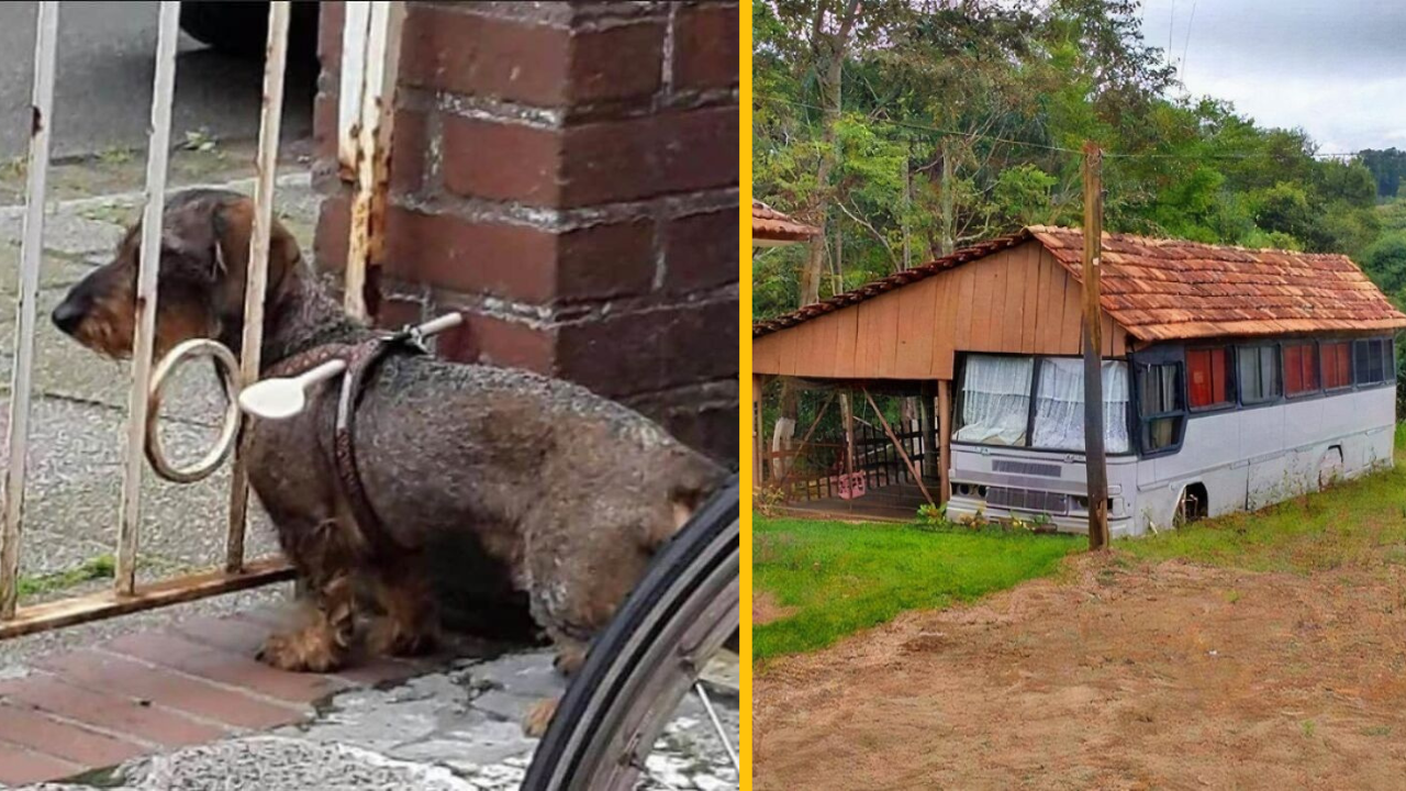 13 prípadov kreatívneho a jedinečného inžinierstva #1