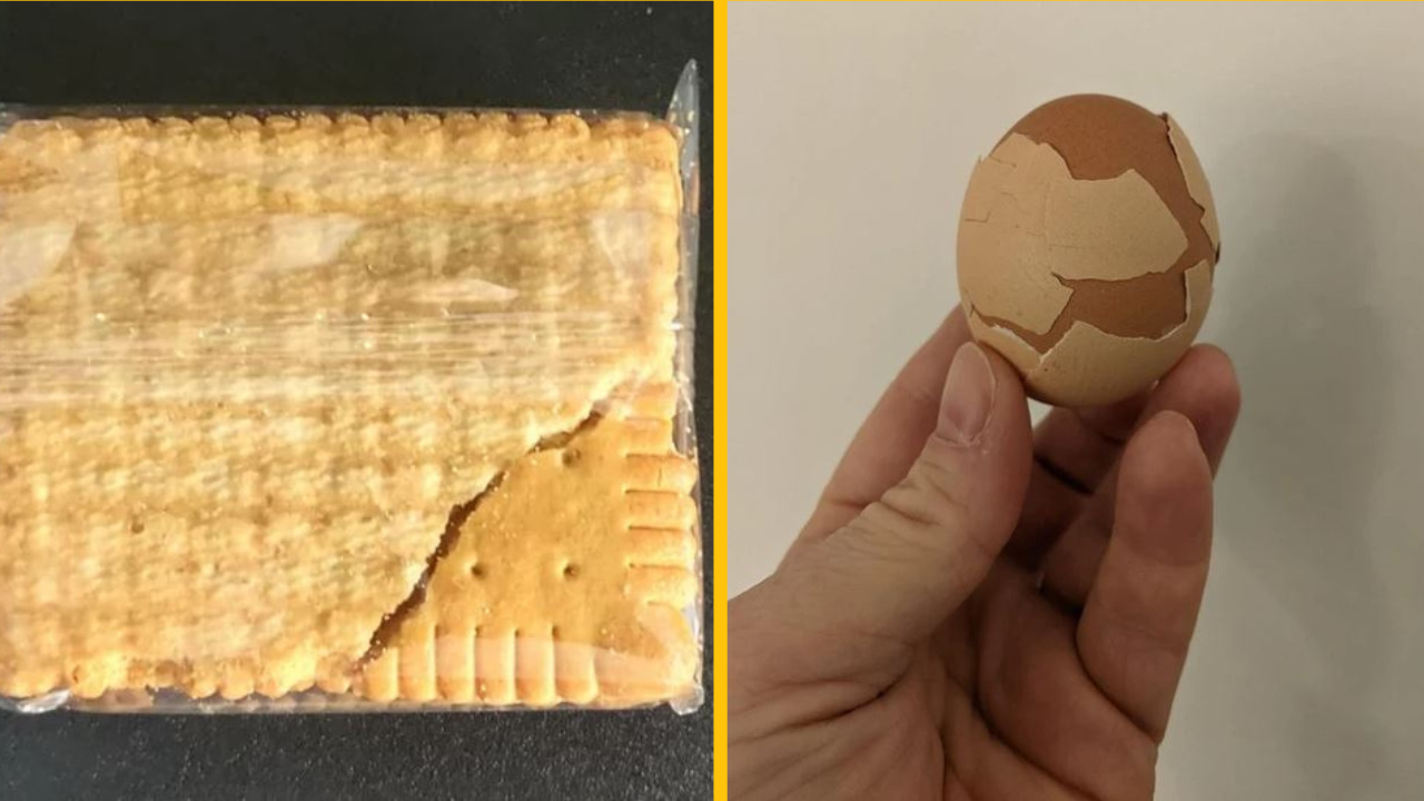 15 ľudí, ktorí objavili niečo neočakávané vo vnútri bežných vecí