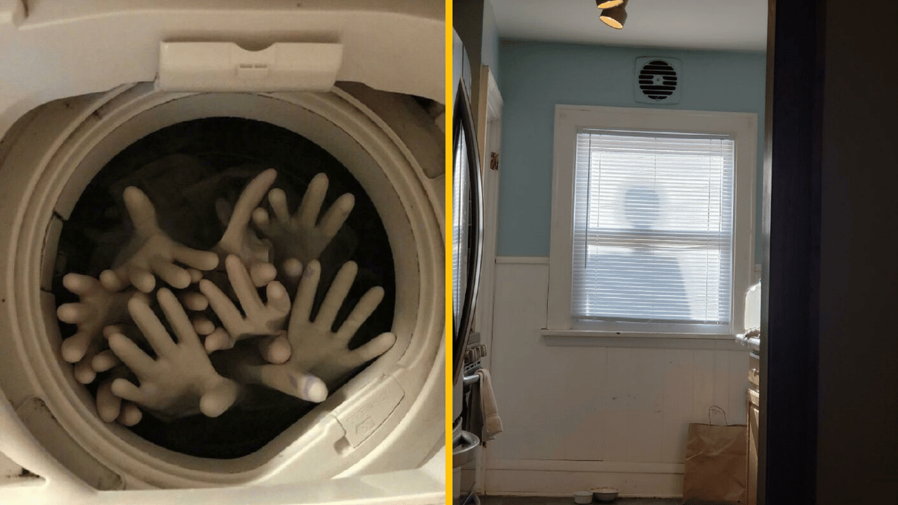 10 desivých fotografií, ktoré ti nedajú spávať