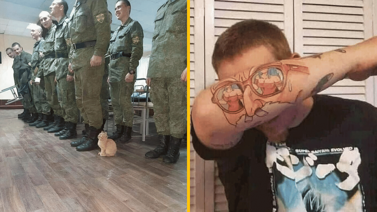 10 vtipných chaotických fotografií, ktoré zdôrazňujú krásu života