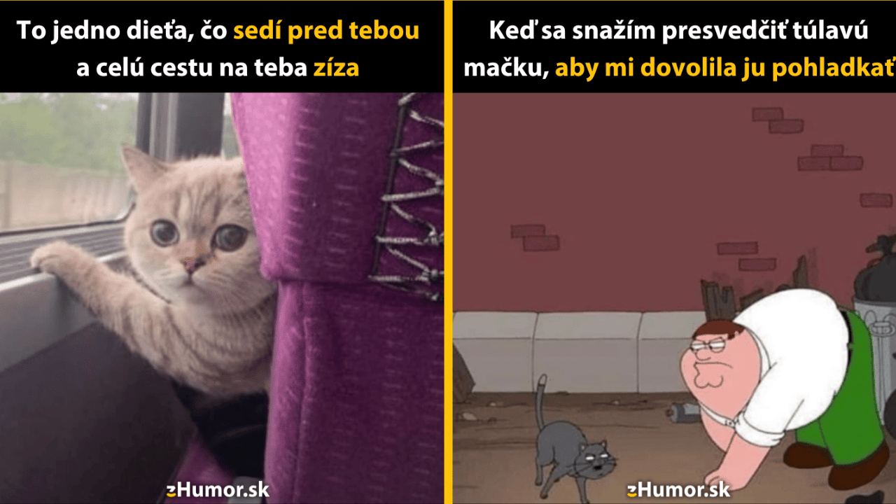 10 vtipných memečiek nielen pre milovníkov mačiek