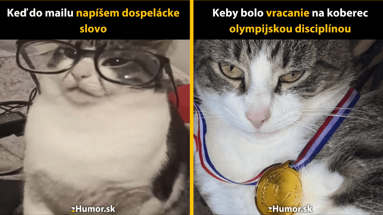 10 mačacích memečiek, ktoré ťa pripravia na nový týždeň