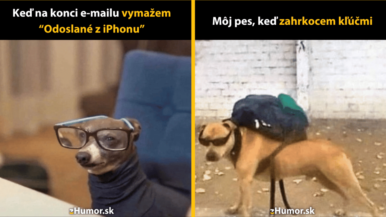 10 psích memečiek, pri ktorých budeš zavýjať od smiechu