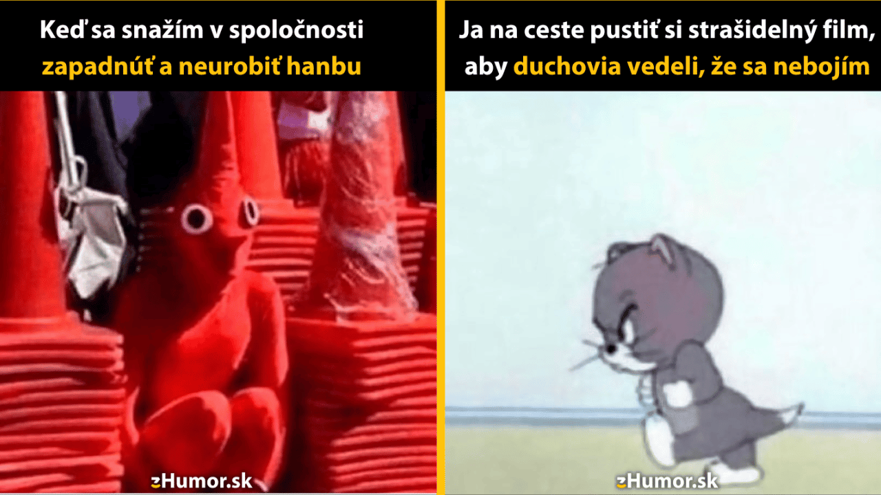 10 memečiek, v ktorých sa nájde každá introvertná povaha