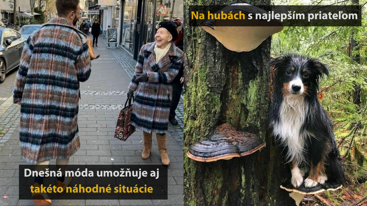 10 veselých fotografií zo života, ktoré vám vyčaria úsmev na tvári #1