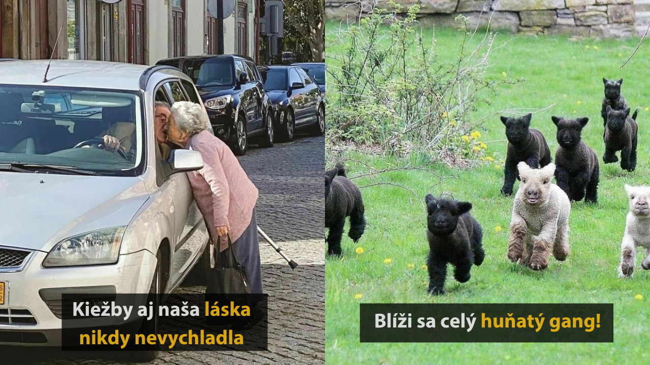 10 veselých fotografií zo života, ktoré vám vyčaria úsmev na tvári #2