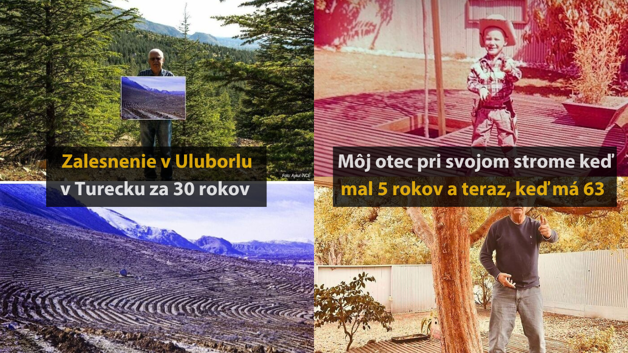 10 výborných príkladov toho, že ako krásne sa dá chrániť a obnoviť príroda #1