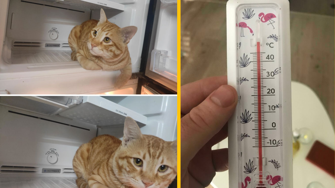 13 fotiek, ktoré ukazujú extrémne horúčavy