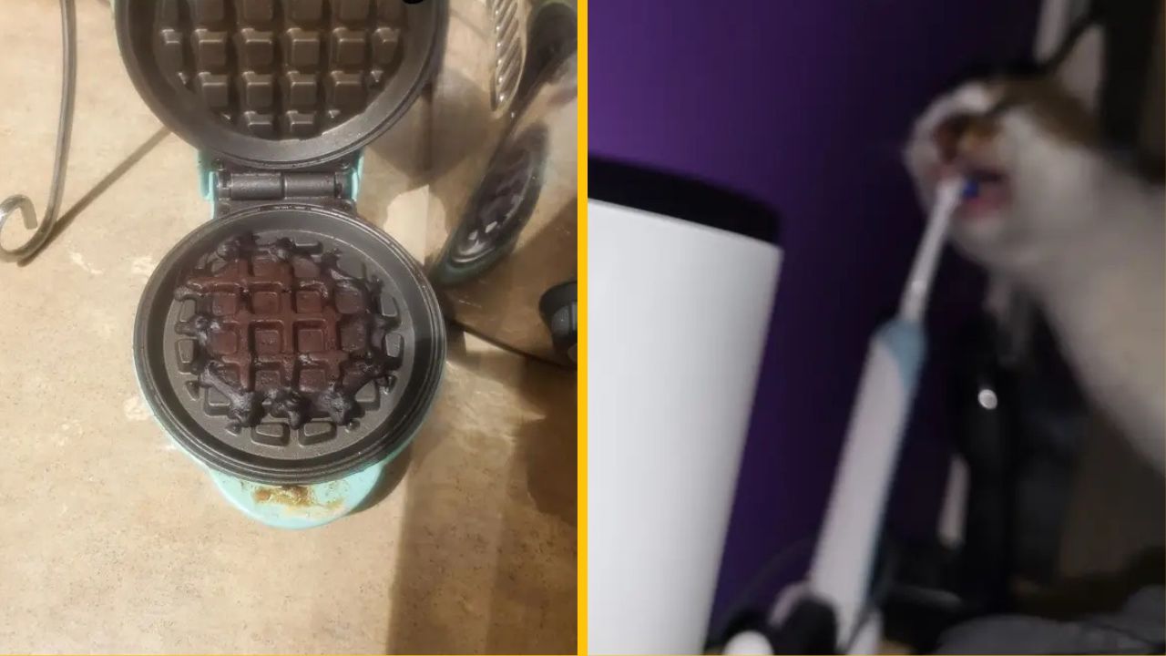 10 fotiek ľudí, ktorí majú za sebou 10x horší týždeň ako väčšina z nás